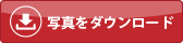 写真をダウンロード